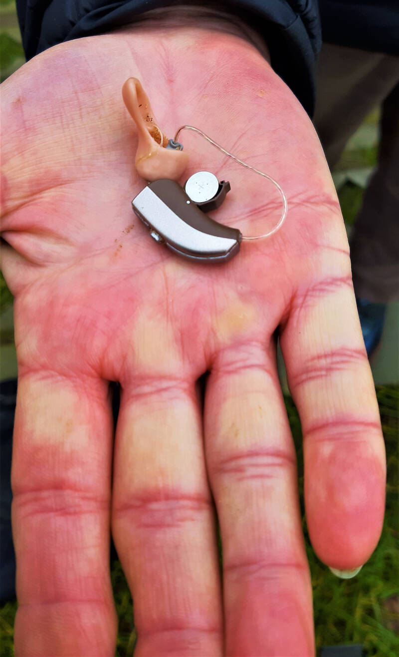 Afbeelding metaalzoek opdracht Delhaize supermarkt Kapellen Antwerpen België | Metaalzoekworkshop