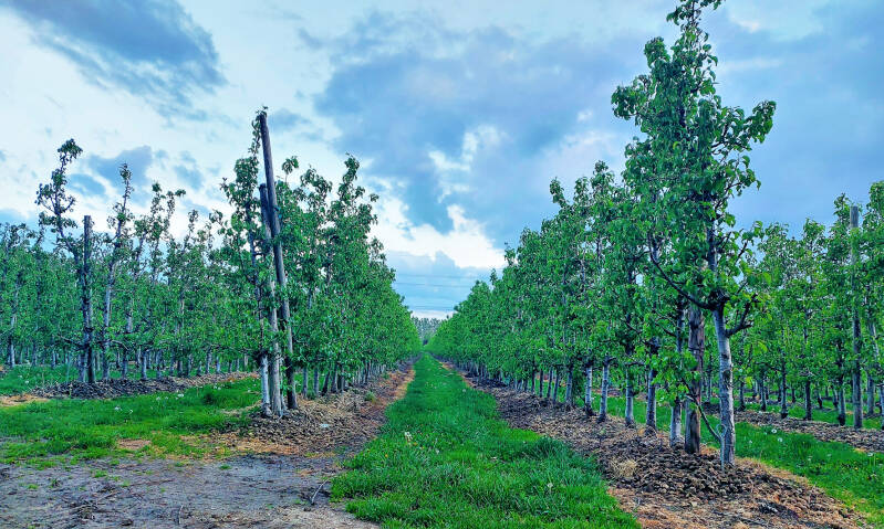 Cursus opleiding metaaldetectie | Metaalzoekworkshop