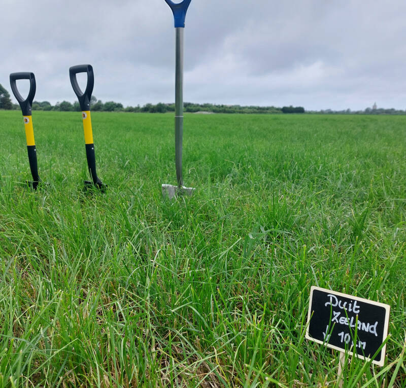 Cursus opleiding metaaldetectie | Metaalzoekworkshop