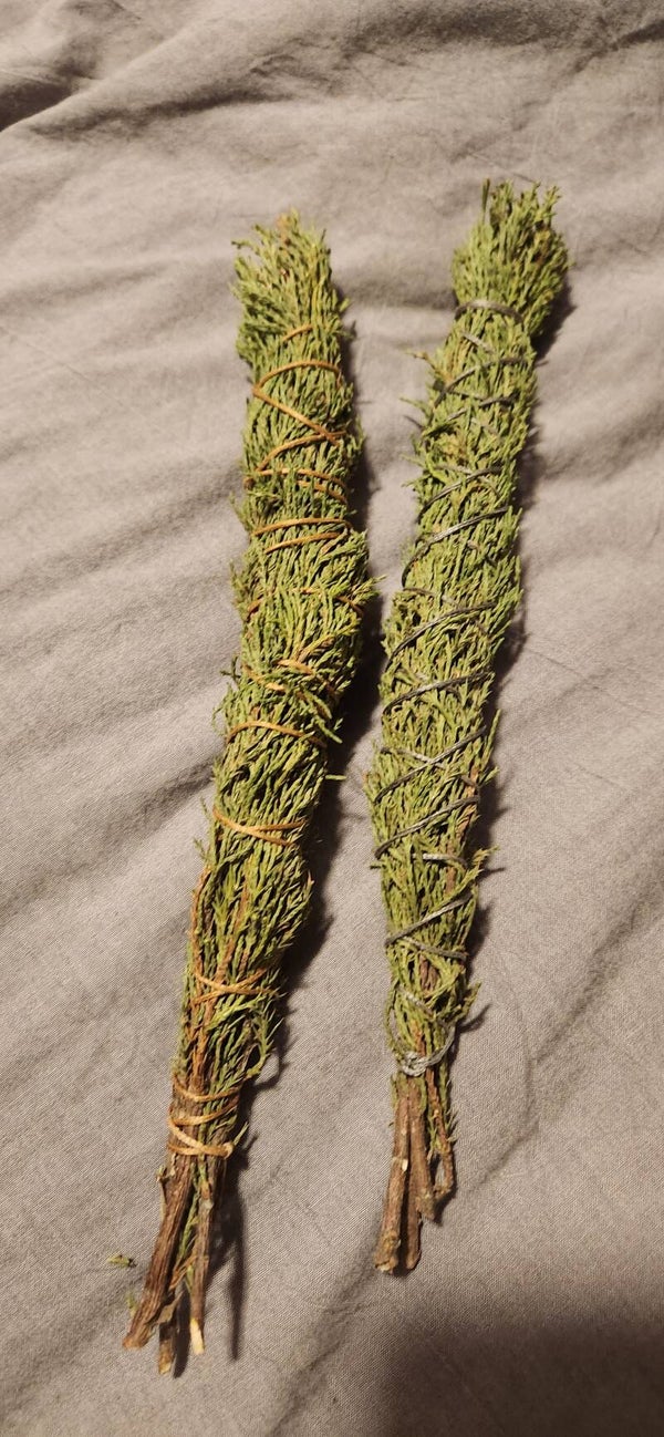 Rocky Mountain Juniper