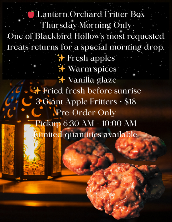 🍎 Lantern Orchard Fritter Box  Thursday Morning Only
