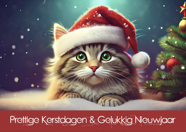 Kerst enkel met poes