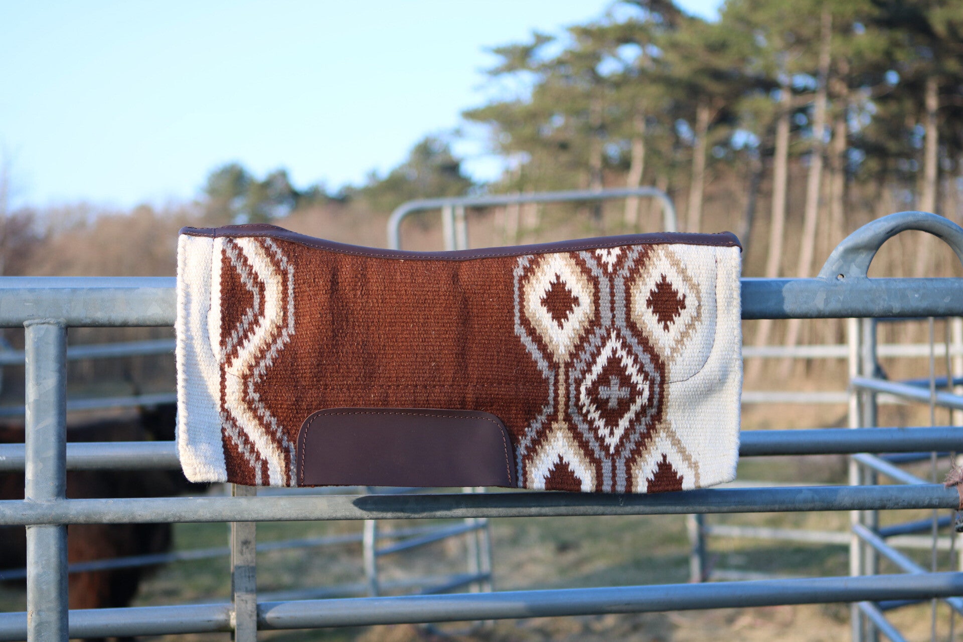 2 in 1 western pad