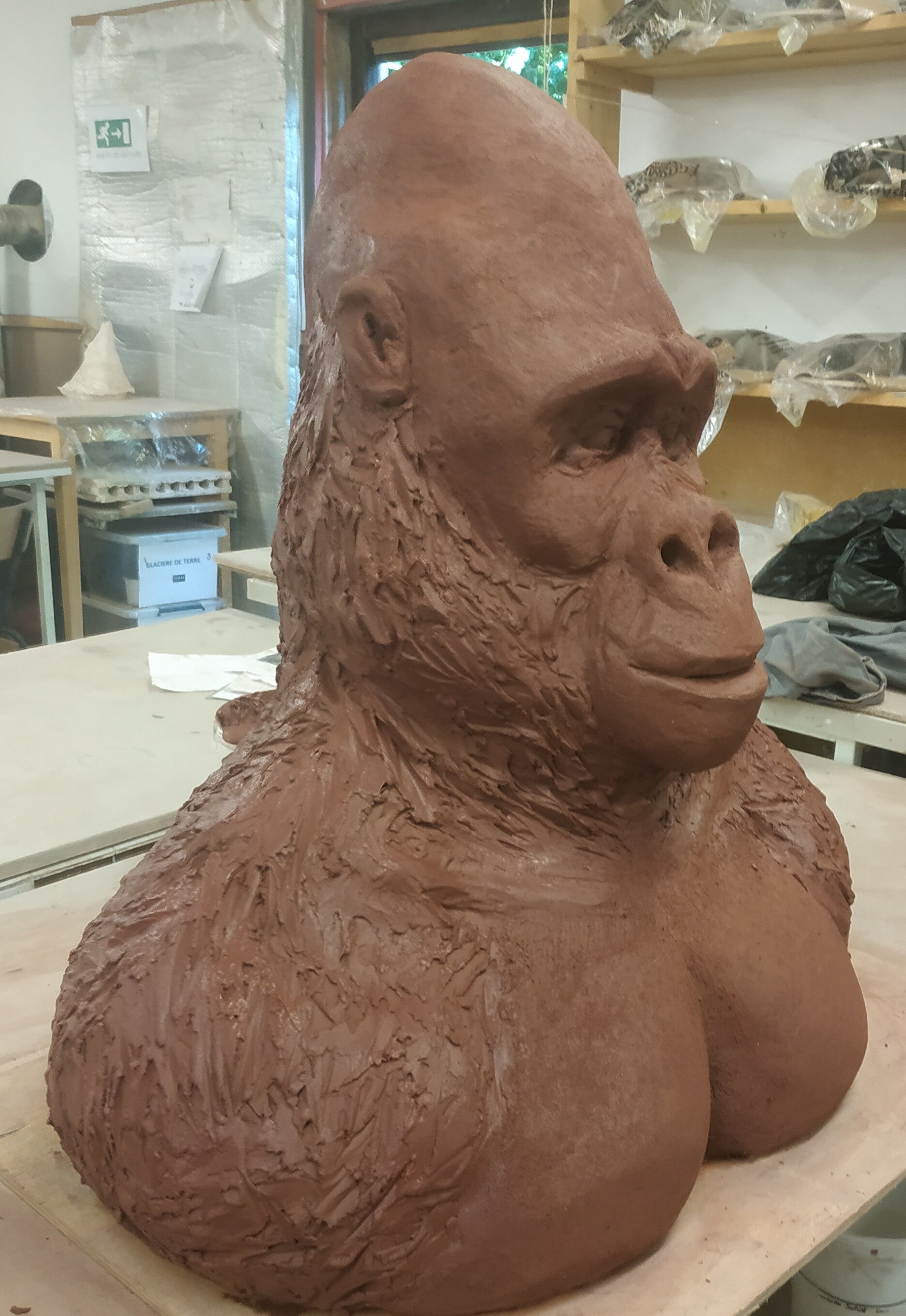 Sculpture d'un gorille en argile rouge d'espagne. Taille 1 m et 95 kg.