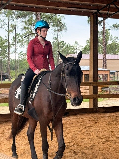 1 Hour Individual Lesson (Structured Horsemanship Instruction) 60 Min.