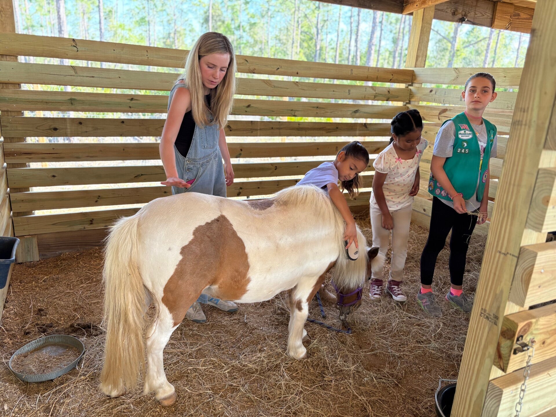 Cuddle Club (Equine Education & Grooming Class) 60 min.