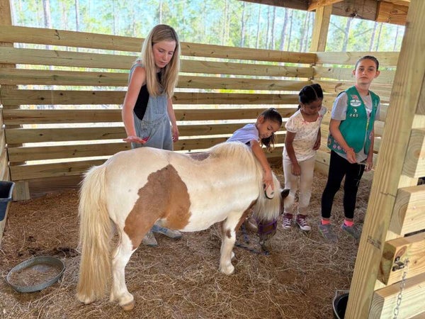 Cuddle Club (Equine Education & Grooming Class) 60 min.