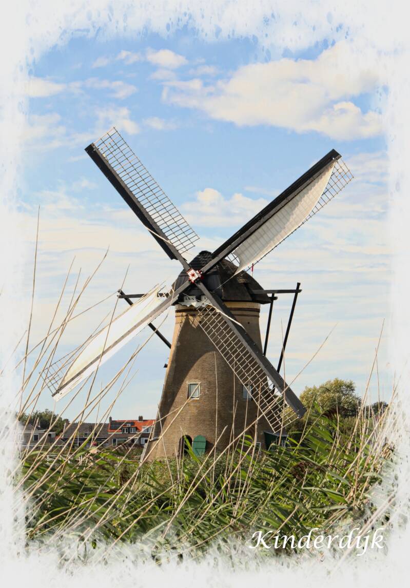 img_2152_pe2048_pe-standard.jpg