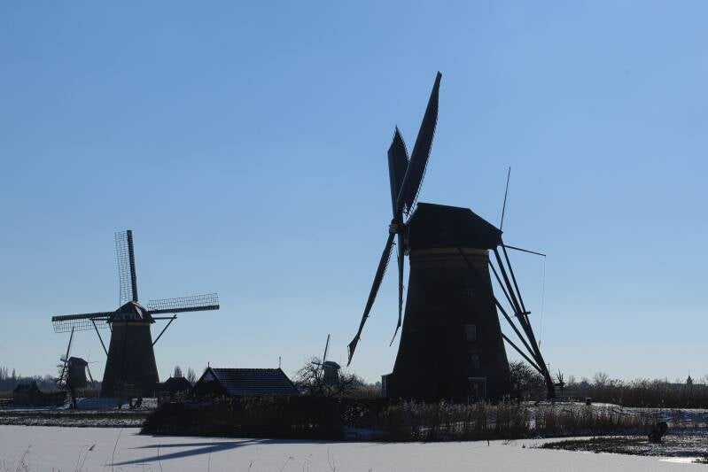 img_7555_pe-standard.jpg
