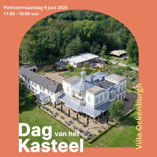 Dag van het Kasteel poster