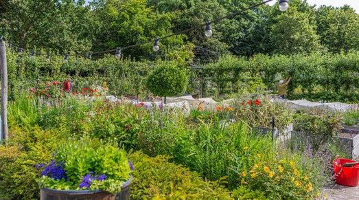 moestuin in bloei