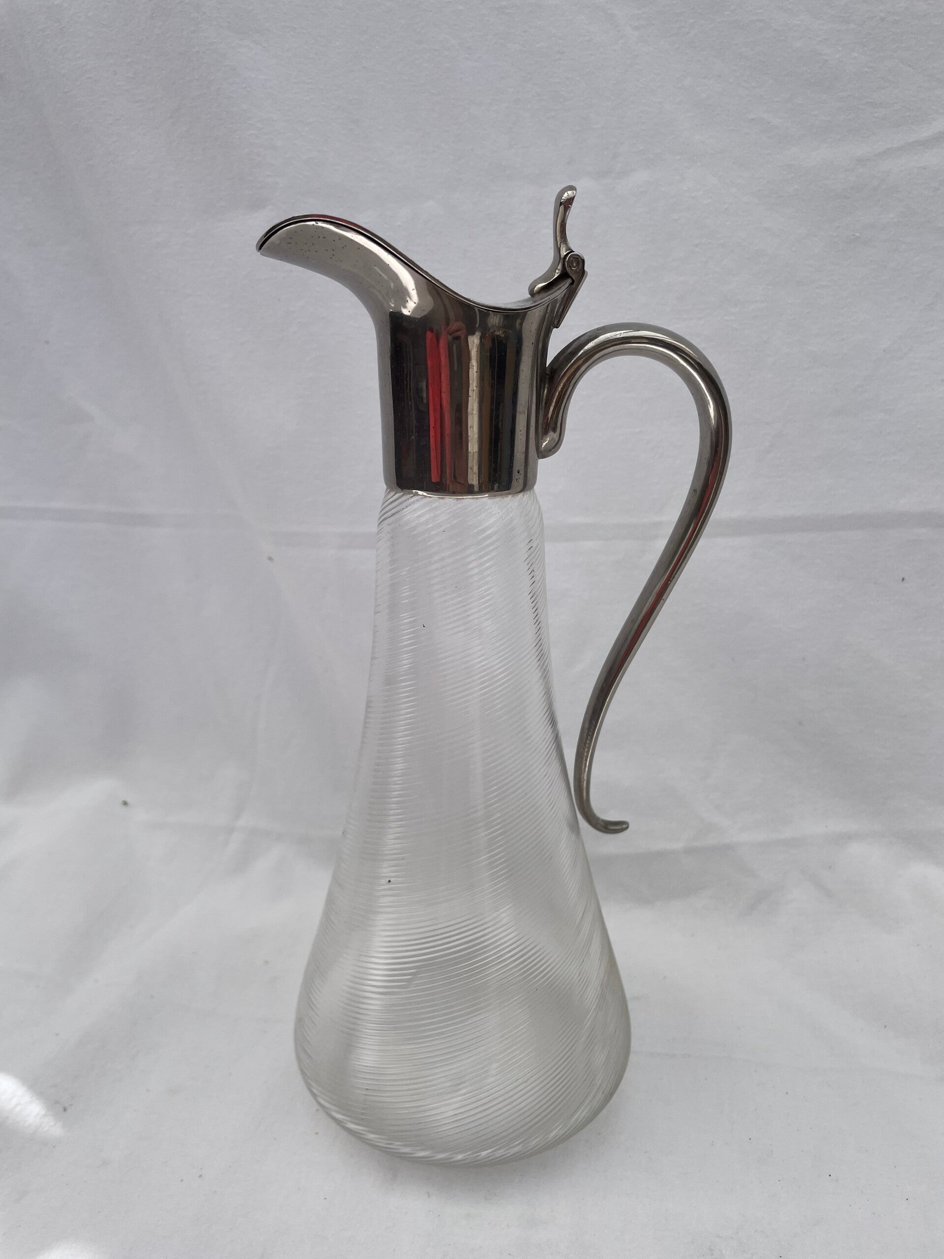 Waterkan met snavelbek