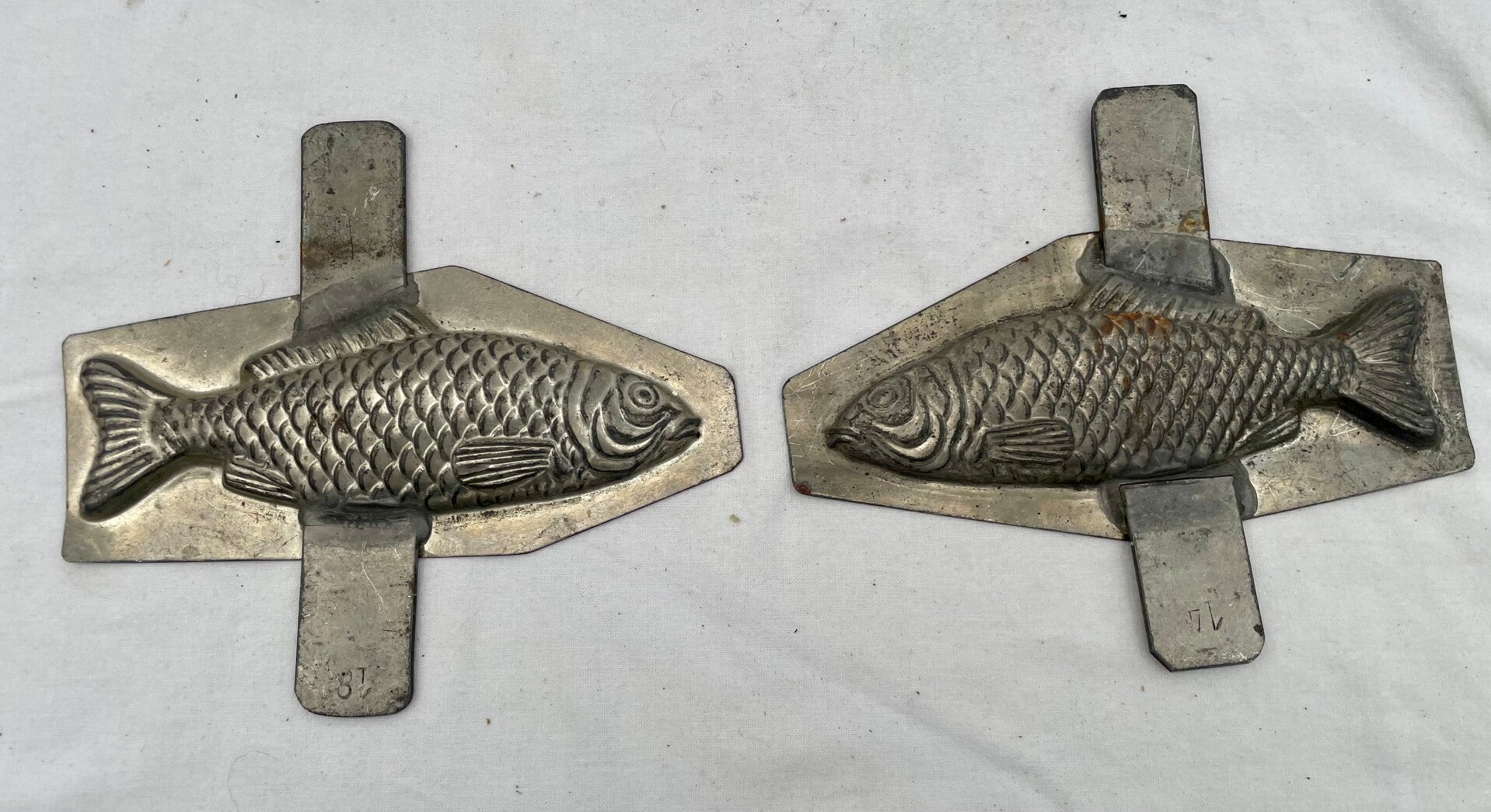 Chocoladevorm vissen