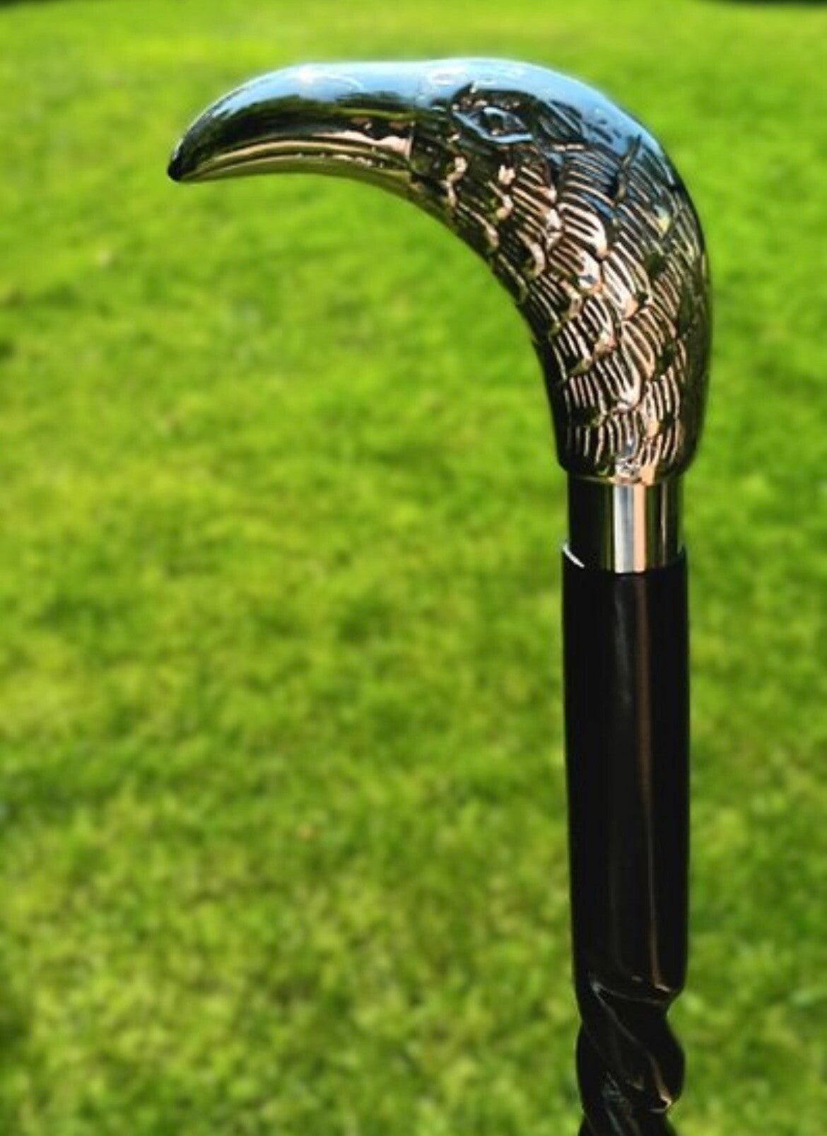 Wandelstok Arend