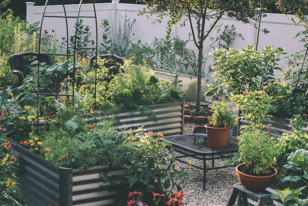 Garden Coaching Package