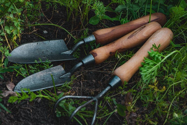 The NH Potager Limited Edition Garden Tool Set