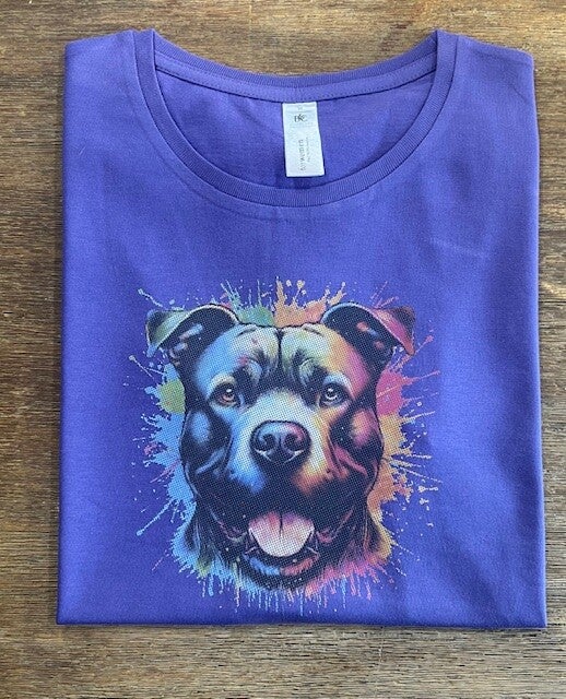 Staffordshire Bullterrier "Splash"