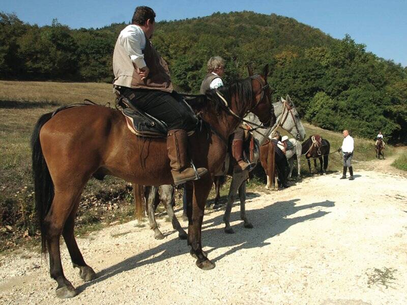 Cavalli escursione Mottolone