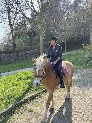 Scuola di equitazione