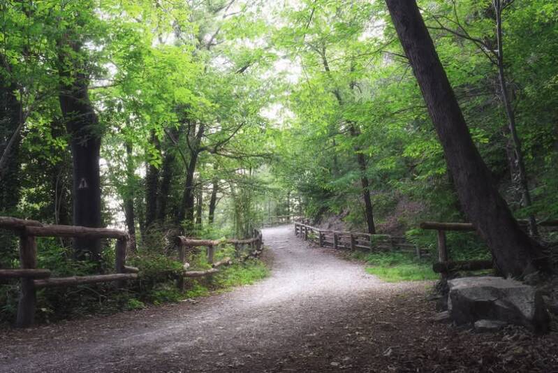 Wanderweg in den Euganeischen Hügeln