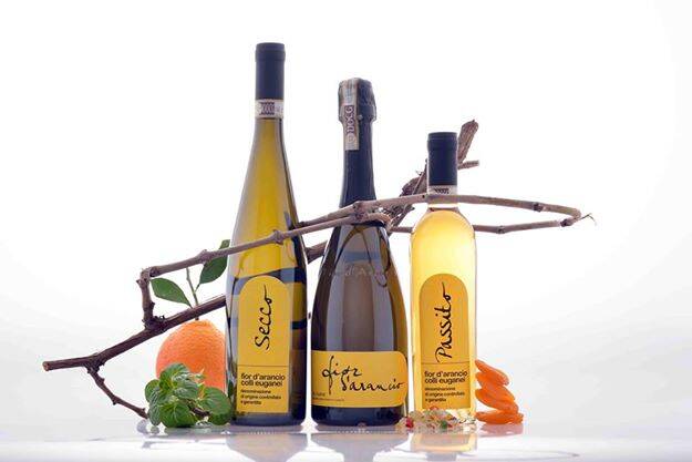 Vini dei Colli Euganei