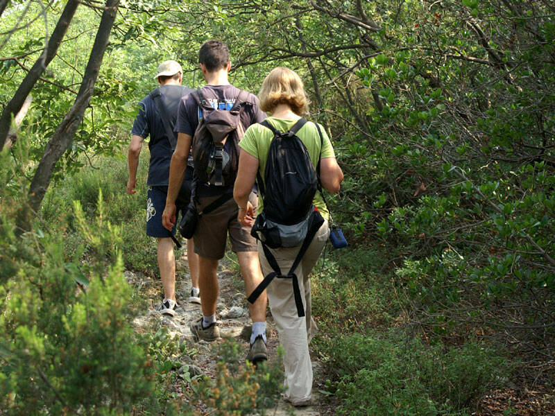 Escursioni sui Colli