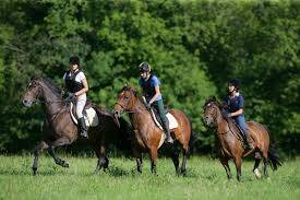 Escursione a cavallo sui Colli Euganei