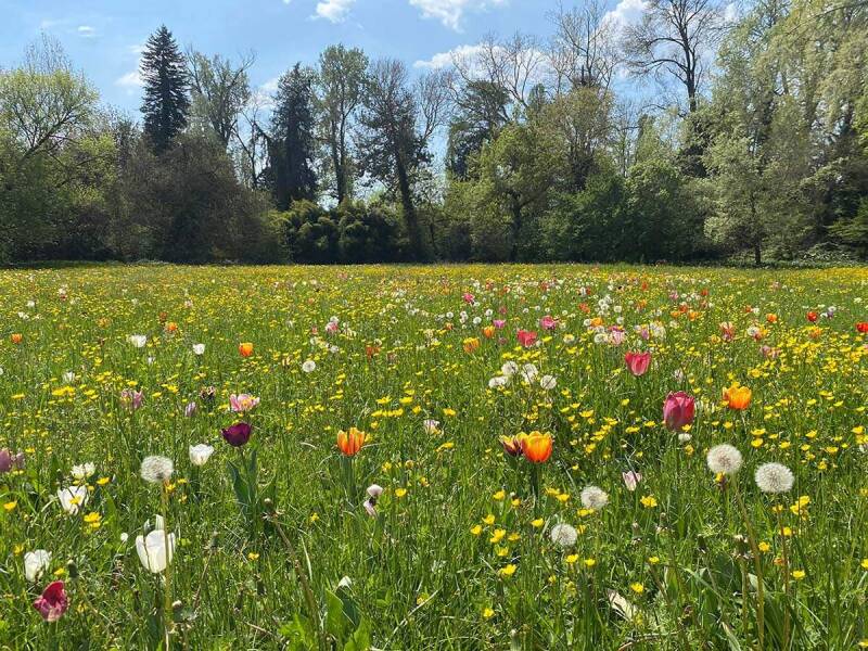 Giardini a Montegrotto Terme