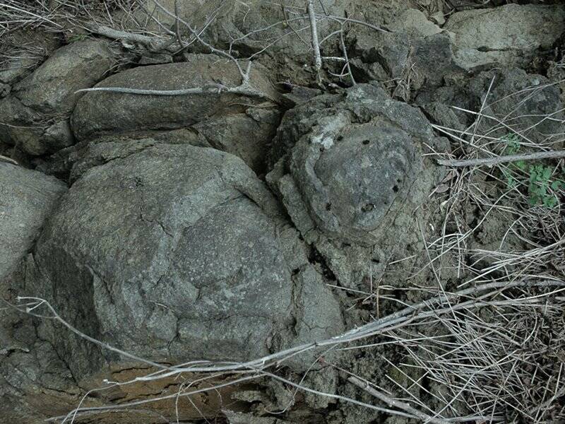 Sassi vulcanisi- persorsi sui colli.