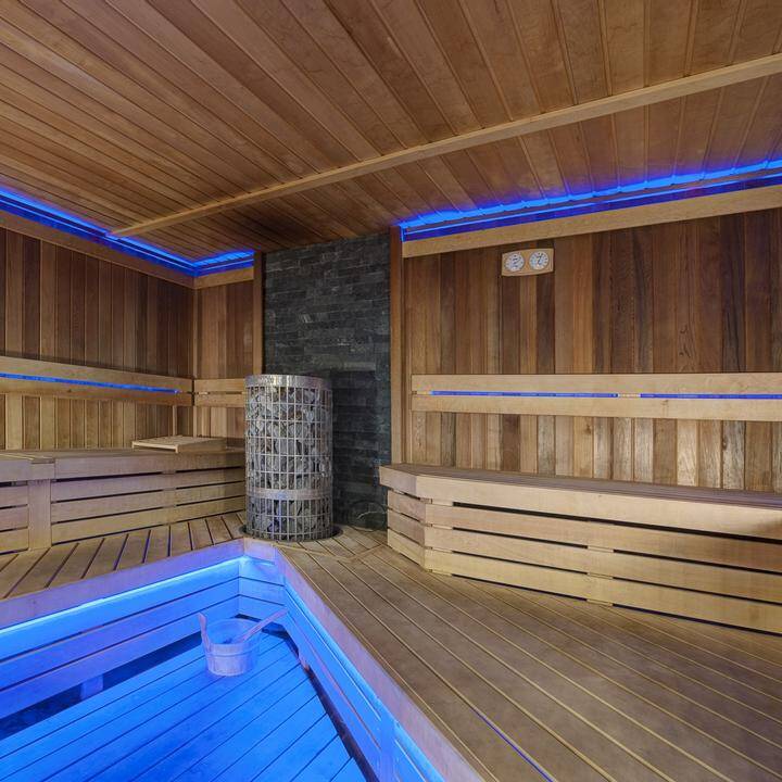 Sauna Hotel President