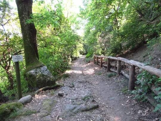 CAI Trail 26 section near Pria del Can Rabioso