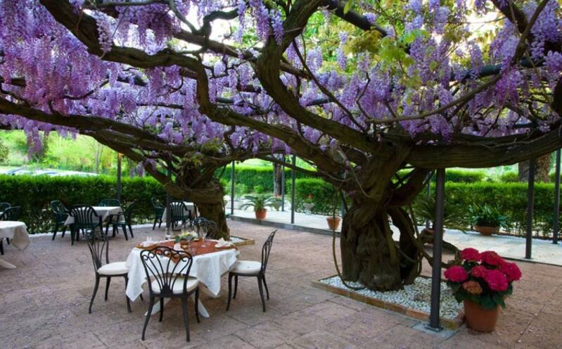 Antica trattoria Taparo.