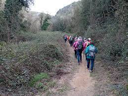 Trekking autunno nei colli.