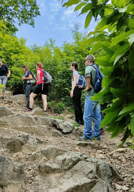 Famiglie trekking sui Colli