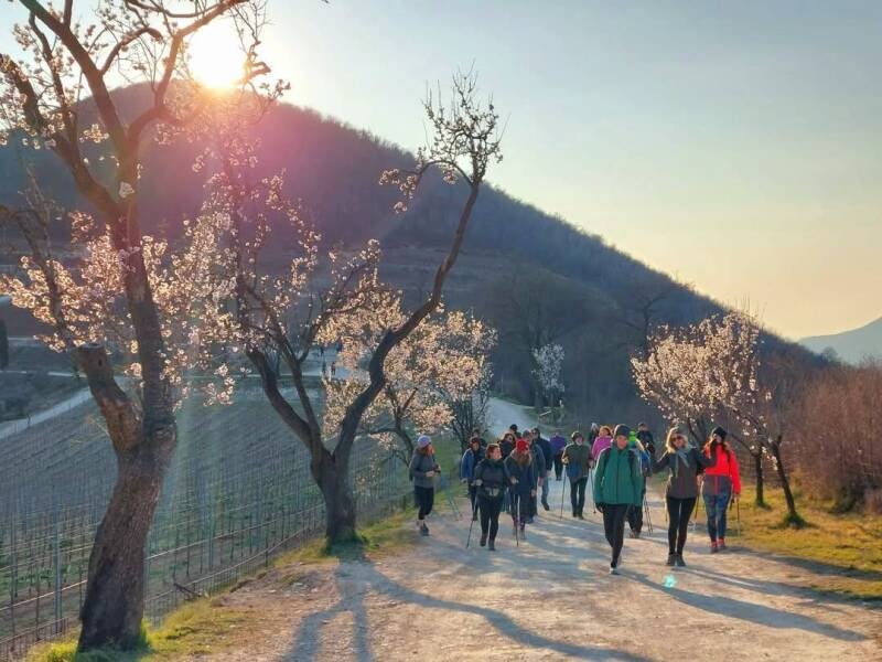 Pianoro del Mottolone - Trekking.