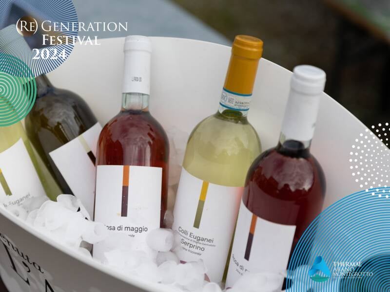 Vini dei Colli Euganei