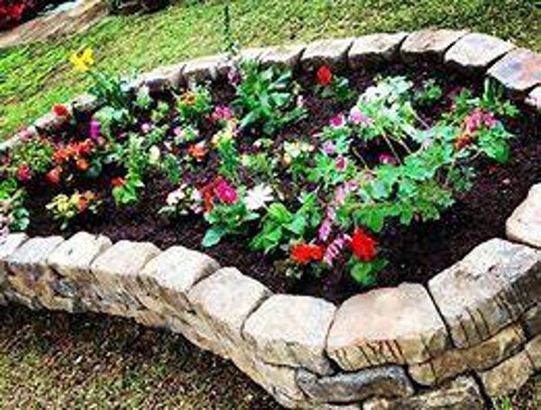flower bed or design gardening