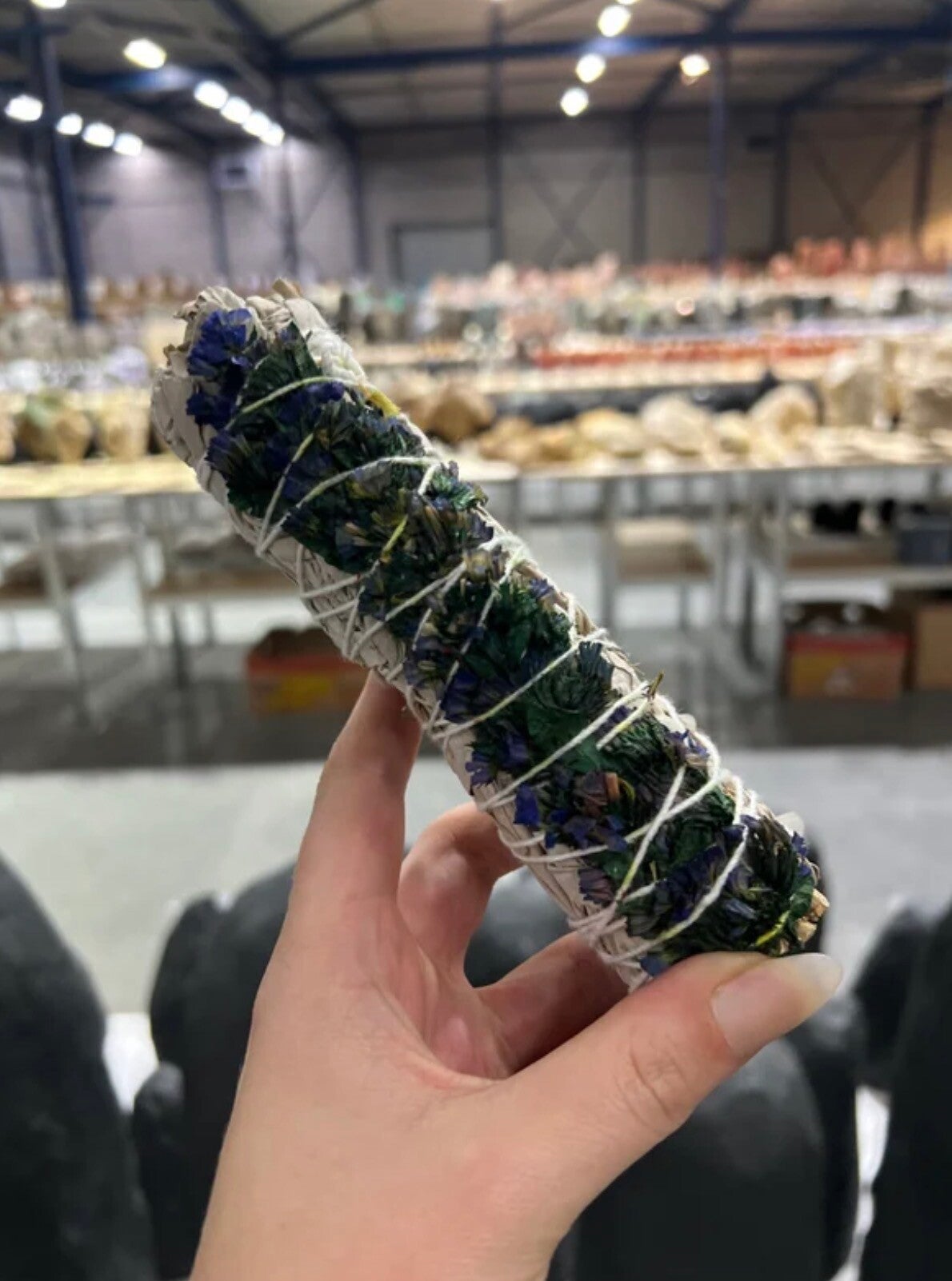 Smudge stick Sage - Blue & Green