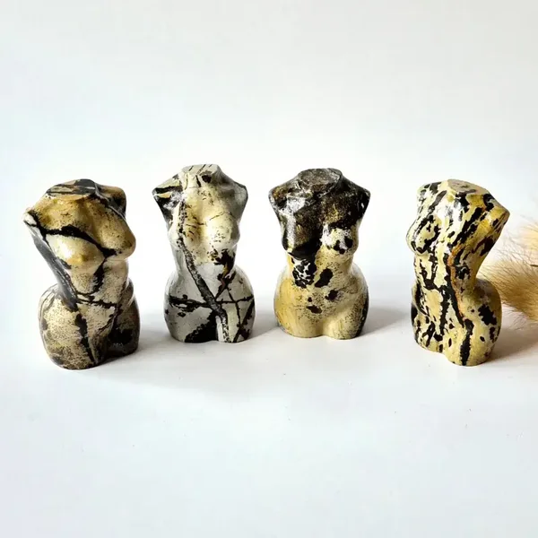 Picture Jasper - Body - Random piece