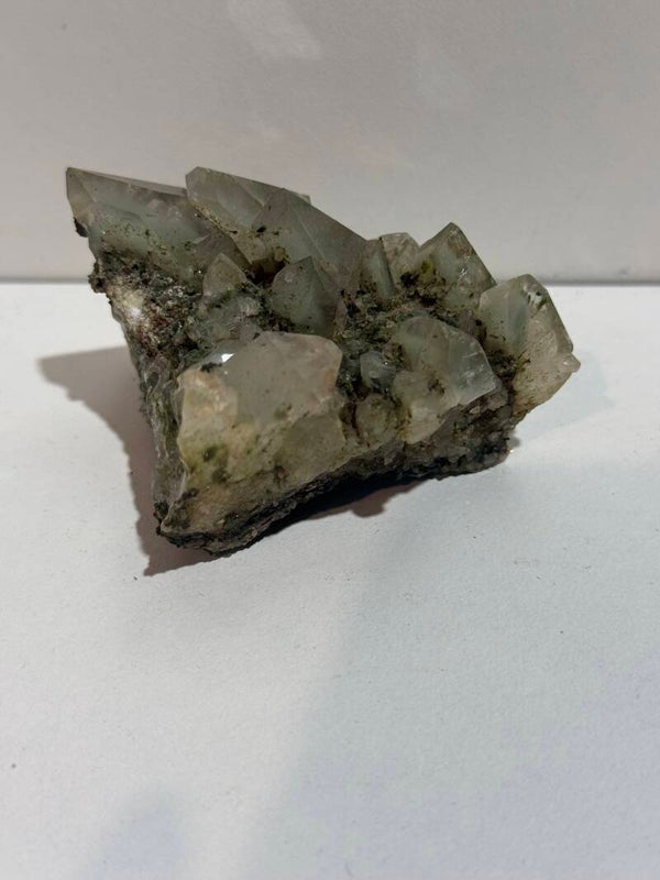 Free form - Forest Epidoot - 0.134KG