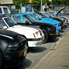 dsc_8266jpg_verkleind-standard.jpg