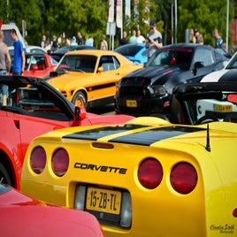 dsc_8281jpg_verkleind-standard.jpg