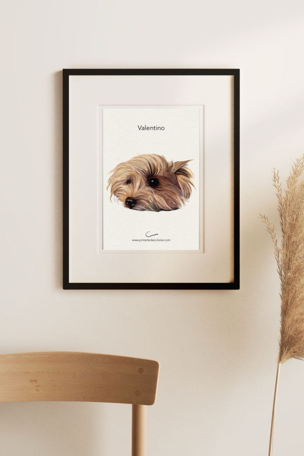 ILUSTRACIÓN TONAL (lápiz de color)