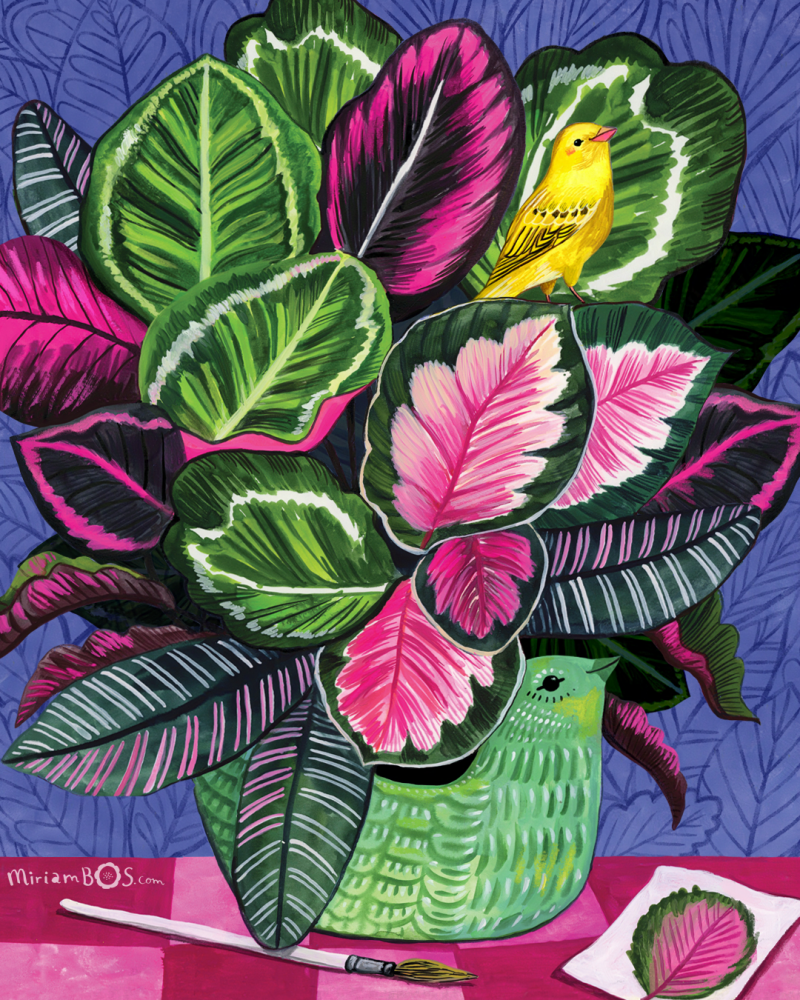 copyrighted-print-flo-calathea-canary-illustration-by-miriam-bos-nprot-standard.png