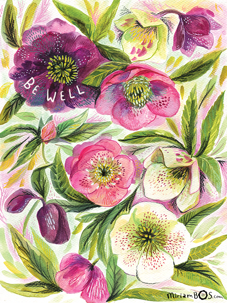 copyrighted-print-florals-helleborus-dreamy-illustration-by-miriam-bos-prot-standard-p8r0dw.png