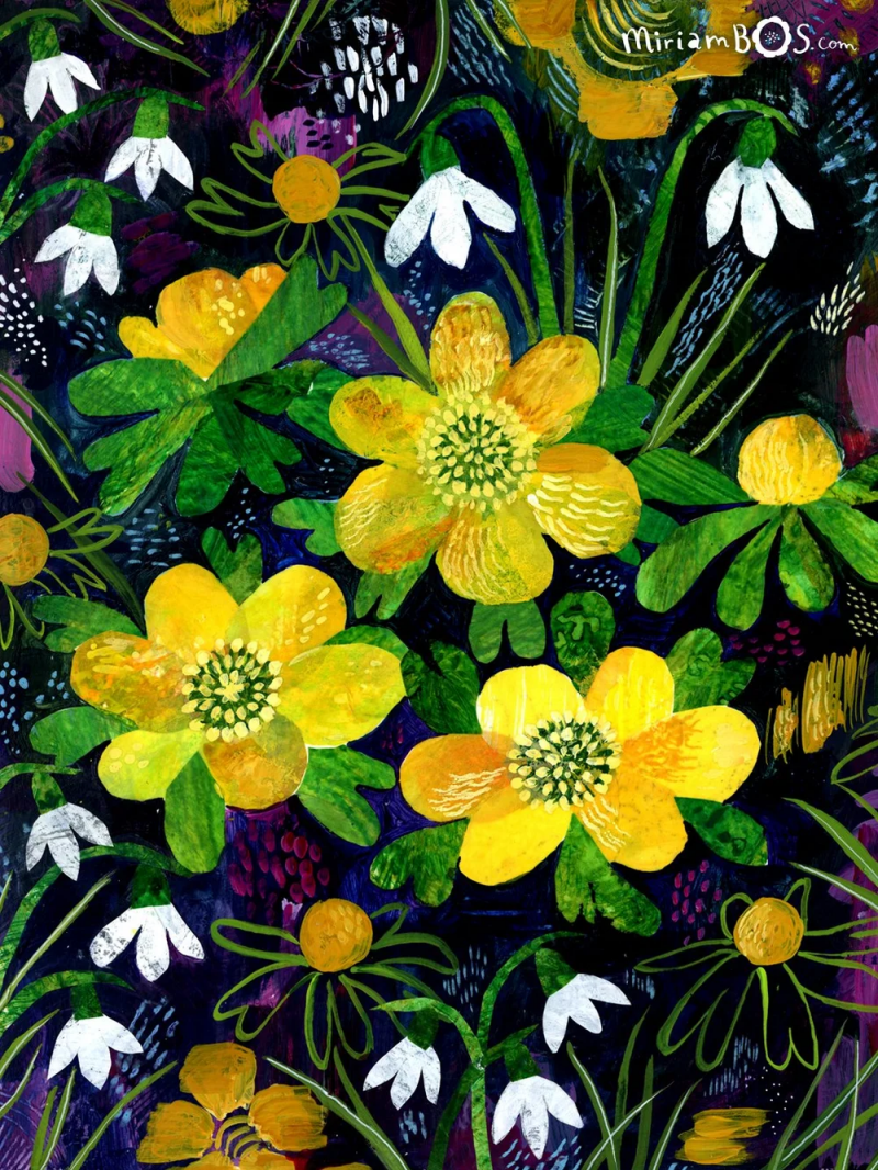 copyrighted-print-flowers-collage-spring-winter-aconite-illustration-by-miriam-bos-prot-standard-rbmht7.png
