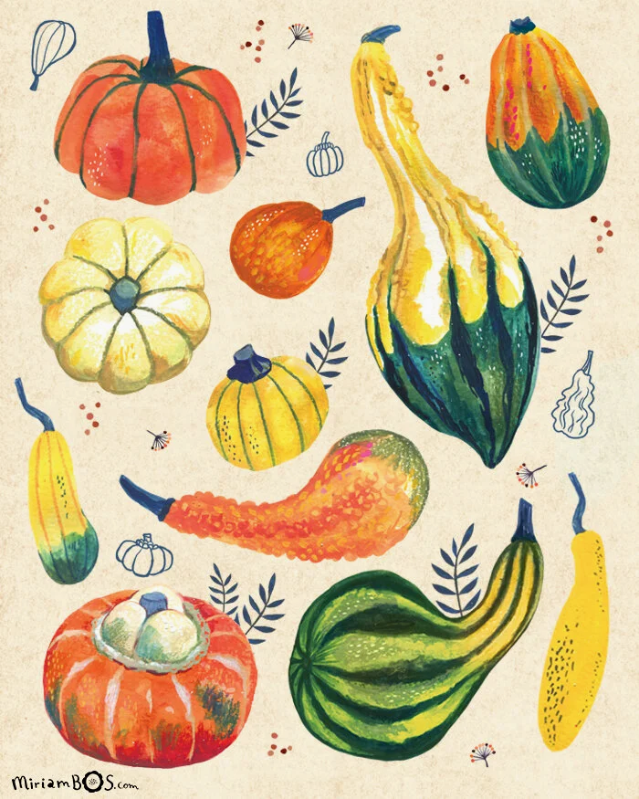 copyrighted-print-food-pumkin-thanksgiving-illustration-by-miriam-bos-nprot-standard.png