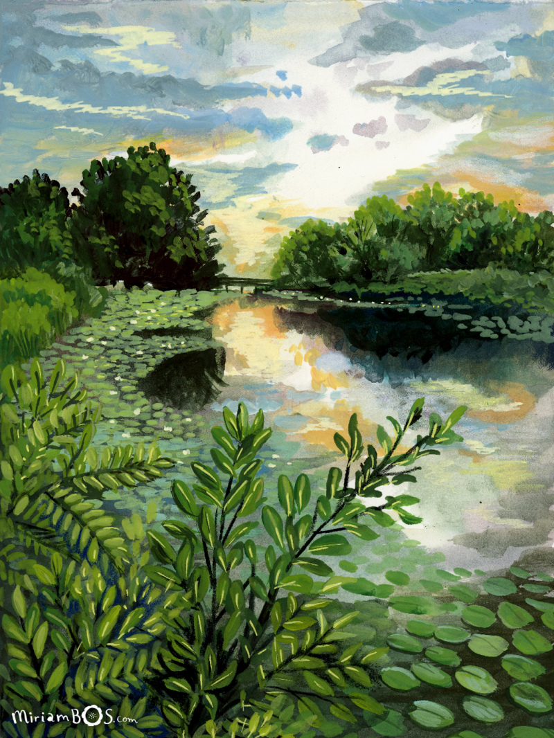 copyrighted-print-landscape-park-sunrise-illustration-by-miriam-bos-nprot-standard.png