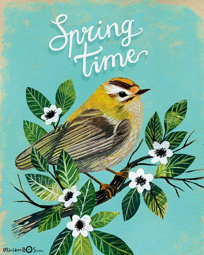 copyrighted-print-quote-spring-bird-illustration-by-miriam-bos-nprot-standard.png