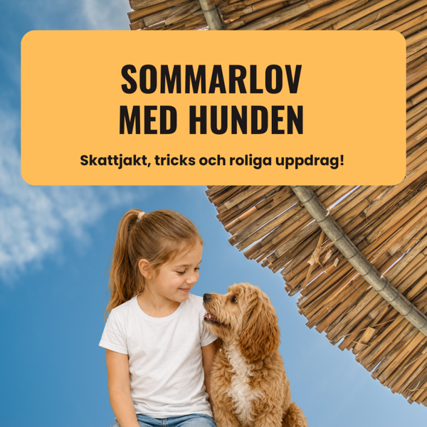 Sommarlov med hunden!